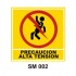 Señalamientos Precautorios