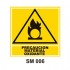 Señalamientos Precautorios