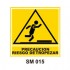 Señalamientos Precautorios