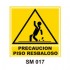 Señalamientos Precautorios
