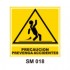 Señalamientos Precautorios