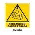 Señalamientos Precautorios
