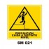 Señalamientos Precautorios