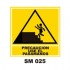 Señalamientos Precautorios