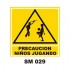 Señalamientos Precautorios