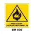 Señalamientos Precautorios